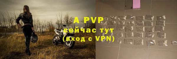 прущие грибы Пестово