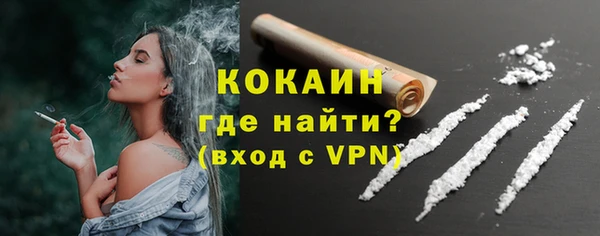 прущие грибы Пестово