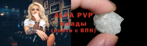прущие грибы Пестово
