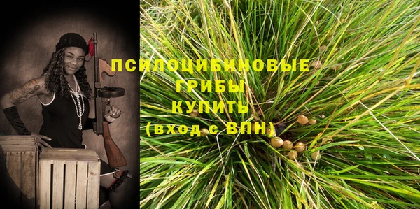 метадон Пересвет