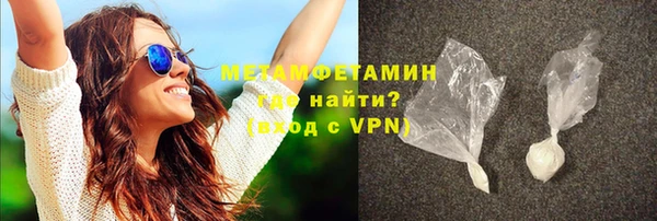 прущие грибы Пестово