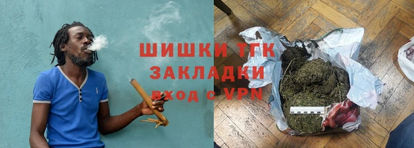 прущие грибы Пестово