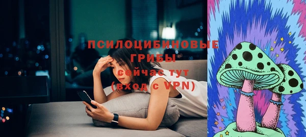 прущие грибы Пестово