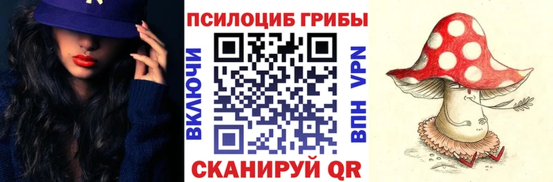 закладка  Сочи  Галлюциногенные грибы ЛСД 