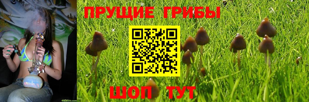 Галлюциногенные грибы мухоморы  Вход с VPN  Сочи 