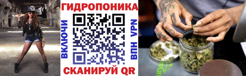 Каннабис OG Kush  как найти наркотики  Сочи 